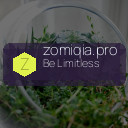 zomiqia.pro