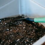 Beginner Tips for Composting at Home: A Simple Guide to Start
